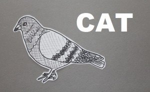 theuglyvolvo pigeon cat