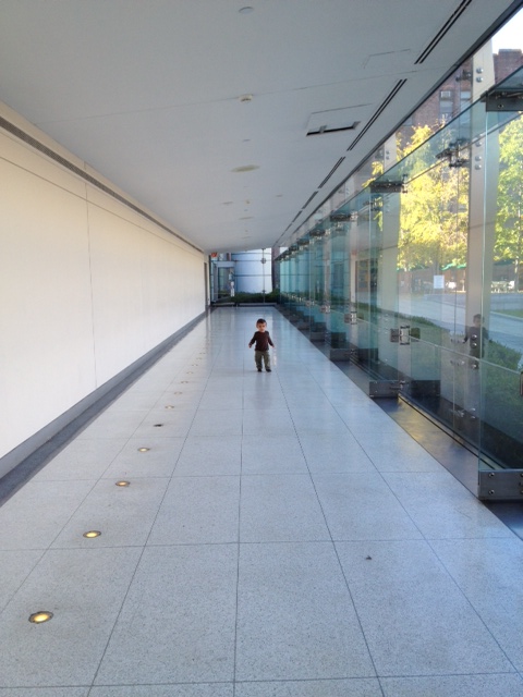ben amnh hallway